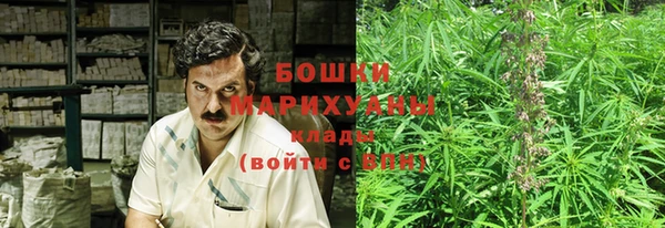 дмт Алексин
